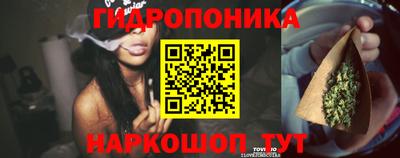 гидра Жуковский