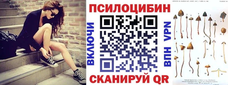 Галлюциногенные грибы Psilocybine cubensis  Черемхово 